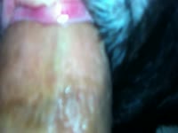 fucking dog